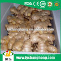 2014 new crop Linyi origin air dried ginger supplier